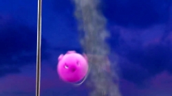 انیمیشن سانی بانیز قسمت 137 - sunny bunnies